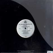 Back View : Steve Stoll / The Blunted Boy Wonder - TIMESSQUARE - Nova Mute / 12nomu47
