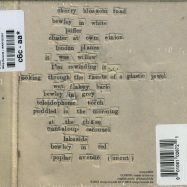 Back View : Bibio - FI (CD) - Warp Records / WARPCD267
