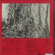 Back View : The Physics House Band - MERCURY FOUNTAIN (180G LP) - Small Pond / SPR110LP