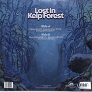 Back View : Schubmodul - LOST IN KELP FOREST (LTD.180G COKEBOTTLEGREEN LP) - Tonzonen Records / TON 143LP