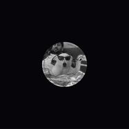 Back View : Robert Crash - JULIAS DOG IS WATCHING YOU - Fottute Registrazioni / FTT 006