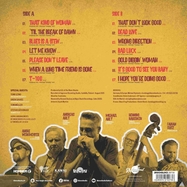 Back View : B.B. & the Blues Shacks - BLUES IS A STEW (LP) - Rhythm Bomb Records / 28730