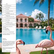 Back View : Arno - STRICTLY VIBES UNIT (2LP, LTD GLITTER COVER) - Arno / ARNO100