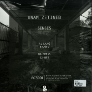 Back View : Unam Zetineb - SENSES EP - Binary Cells / BCS001