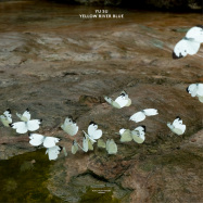 Back View : YU SU - YELLOW RIVER BLUE (LP, 2023 Repress) - Music From Memory / MFM052