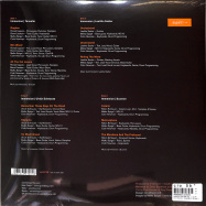 Back View : Immersion & more - NANOCLUSTER VOL. 1 (2X10 INCH LP) - Swim Records / VWM056LP / 00148313