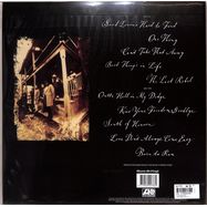 Back View : Lynyrd Skynyrd - LAST REBEL (Silver LP) - Music On Vinyl / MOVLP3339
