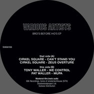 Back View : Various Artists - BRO S BEFORE HO S EP - 666 Recordings / SIX66106