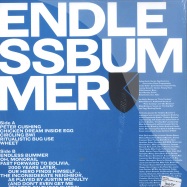 Back View : Pink Skull - ENDLESS BUMMER (LP, BLUE COVER) - Rvng Intl. / rvngnl01