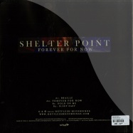 Back View : Shelter Point - FOREVER FOR NOW - Hot Flush Recordings  / hf035
