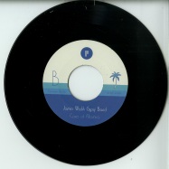Back View : James Walsh Gypsy Band - IVE GOT THE FEELIN / CAVES OF ALTAMIRA ( 7 INCH) - Preservation Records / P012