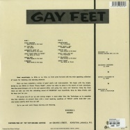 Back View : Various Artists - GAY FEET EVERY NIGHT (LP) - Dub Store Records / dsrlp611