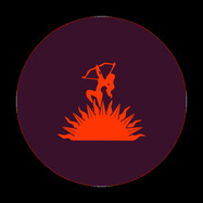 Back View : Sonee B - GROOVE MANIFESTO - AD SOL / ASS004