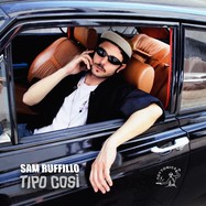 Back View : Sam Ruffillo - TIPO COSI (2LP) - Toy Tonics / TOYT157