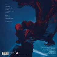 Back View : Azam Ali - SYNAETHESIA (LP) - Cop International / 1311782