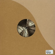 Back View : Fabio Scalabroni - LOOK BEYOND EP - BIO Recordings / BIO001V