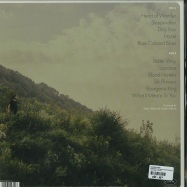 Back View : Andrew Combs - CANYONS OF MY MIND (180G LP + MP3) - Loose Music / VJLP231