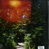 Back View : Jefre Cantu-Ledesma - IN SUMMER (LP) - Psychic Troubles Tapes / PTT013