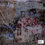 Back View : Animal Collective - BRIDGE TO QUIET (LTD EP + MP3) - Domino Records / RUG1170T