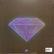 Back View : Bibio - VIDICONIA (LTD. 12 INCH +MP3) - Warp Records / WAP458