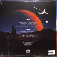 Back View : Various Artists - SKY DUST DRIFTER (LP) - Forager Records / FOR-LP004