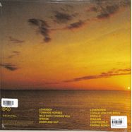 Back View : Real Lies - WE WILL ANNIHILATE OUR ENEMIES (LP) - TONAL Recordings / 199350482380