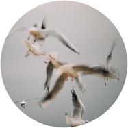 Back View : JonSmu - AGERA - Hanagasumi / HANAGASUMI06