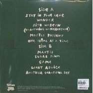 Back View : Courtney Barnett - CREATURE OF HABIT (CARAMEL-MARBLE LP) - Fiction Records / 0484186