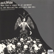 Back View : Ascii Disko - BLACK METAL (OLIVER HUNTEMANN RMX) - AD666