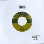 Back View : DeRobert & The Half Truths - TAKE ME OUT OF THE DARK (7 INCH - Soulfly Records / tr1027