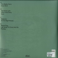 Back View : Roman Fluegel - ALL THE RIGHT NOISES (2X12INCH LP) - Dial / Dial LP 038