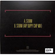 Back View : Rare Silk - STORM (10 INCH) - BEWITH01TEN / ERC065