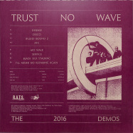 Back View : Special Interest - TRUST NO WAVE (LP+MP3+ZINE) - Disciples / REDISC2