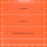 Back View : Black Merlin - SCAPE ONE - Artificial Dance / AD014