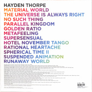 Back View : Hayden Thorpe - MOONDUST FOR MY DIAMOND (LTD RECYLED LP+MP3) - Domino Records / WIGLP482X
