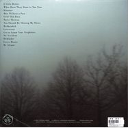 Back View : Daniel Knox - DISASTER (DOVE GREY VINYL LP) - H.p. Johnson Presents / hpjplp1