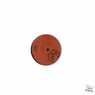 Back View : Silvio Manuel - THE MASTER OF DARKNESS EP - Ferrispark Records / fpr011t
