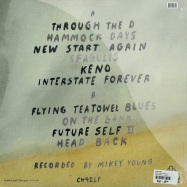 Back View : Dick Diver - NEW START AGAIN (LP) - Chapter Music / ch092lp