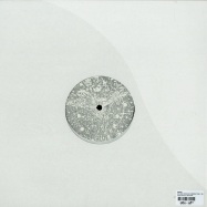Back View : Arash - DISTANT VOICES EP (JORDAN PEAK / SHADE RMXS) - Silver Network / Silver036T