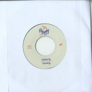 Back View : Equiknoxx - FLY AWAY / FLY ALWAY DUB (7 INCH) - Swing Ting / STLE002