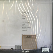 Back View : Ntrek - CALPING (LTD LP + NOTEBOOK) - Fake Records / FAK201802LP