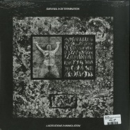 Back View : Die Form - SOME EXPERIENCES WITH SHOCK (LP) - Dark Entries / DE232