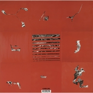 Back View : Animal Collective - HOLLINDAGAIN (LP) - Rykodisc / 5523000614
