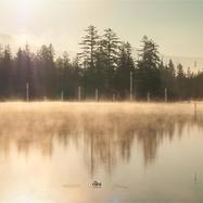 Back View : Purl - DEEP GROUND (LTD 3X12 INCH) - Lila Art / LILA-ART2