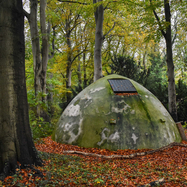 Back View : In Transit - IN TRANSIT (LP) - FELT / FELT011