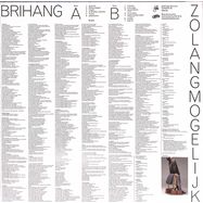 Back View : Brihang - ZOLANGMOGELIJK (BLACK VINYL) - Fake Records / fak201602lpre