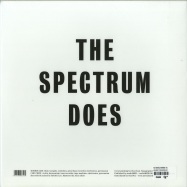 Back View : Che Chen & Robbie Lee - THE SPECTRUM DOES (LP) - audioMER / AUDIOMER016LP