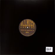 Back View : Lake Haze - SHORELINE CIRCUITRY - All Nice Records / NICE002