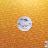 Back View : Lisa Hill - I AM ON THE REAL SIDE - Celestial Echo / CER004