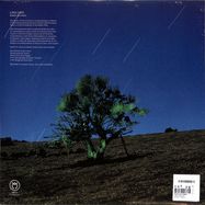 Back View : Banha da Cobra - LAVA LOVE (LP) - Discrepant / CREP110